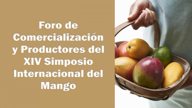 El XIV Simposio Internacional del Mango desarrollará un Foro de Comercialización y otro Foro de Productores