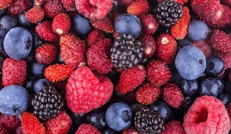 EN EL 2021 PERÚ ALCANZARÍA LAS 30 MIL HECTÁREAS DE BERRIES DE EXPORTACIÓN