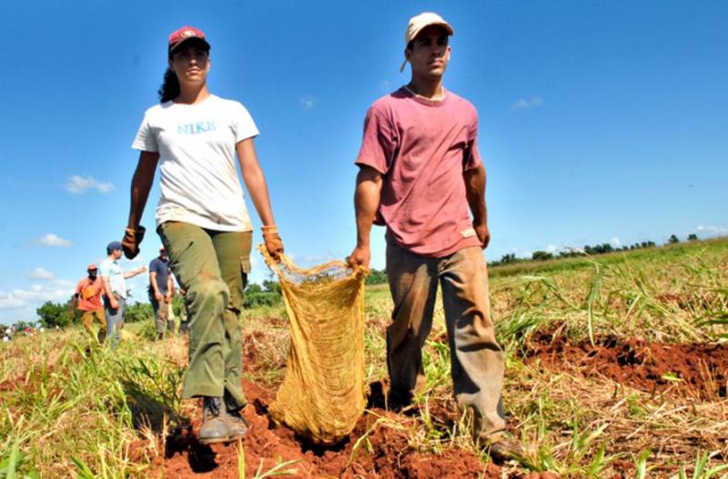 En el 82% de hogares rurales del Perú, la persona con mayor educación tiene menos de 29 años