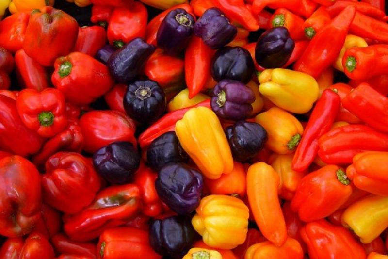 ENVÍOS DE CAPSICUM SUMARON US$ 132 MILLONES DURANTE ENERO-AGOSTO