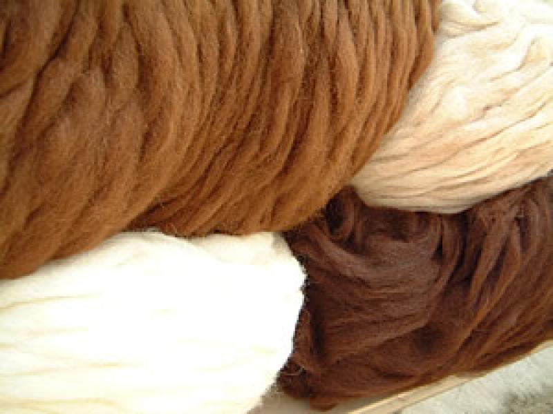 ENVÍOS DE FIBRA DE ALPACA SUMARON US$ 149 MILLONES DE ENERO A NOVIEMBRE DE 2015