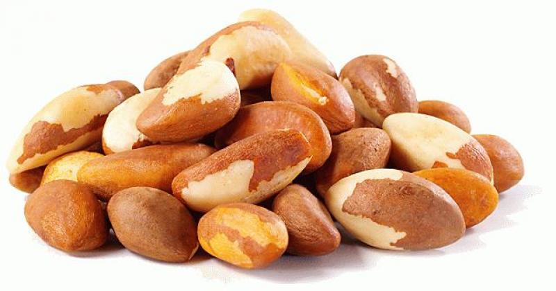 ENVÍOS DE NUECES DE BRASIL SIN CÁSCARA SUMARON US$ 27 MILLONES