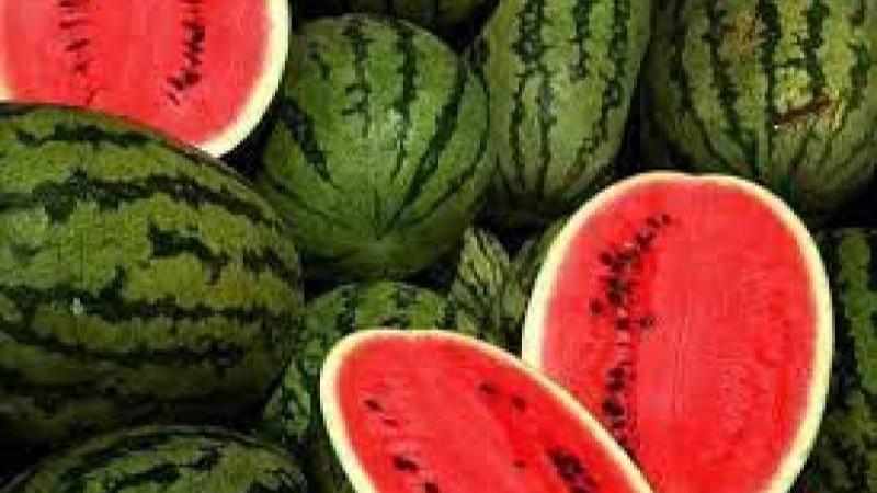 España recuperó el primer lugar como exportador global de sandía en 2024