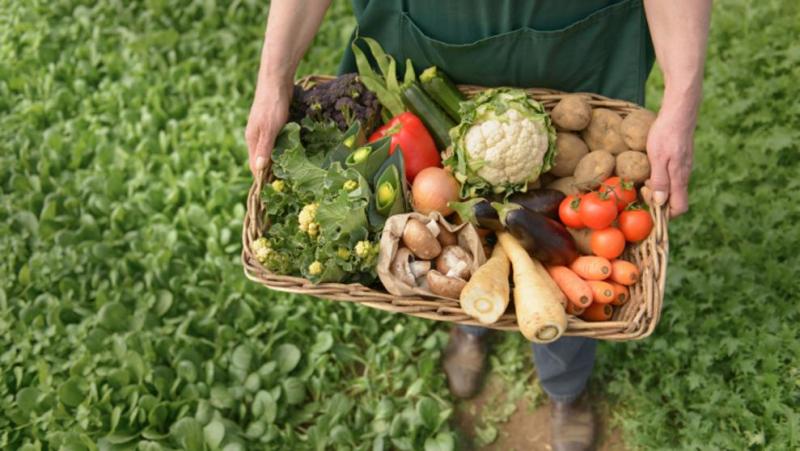 Esperamos que este año se apruebe el D.S. que dé legitimidad al Sistema de Garantía Participativo