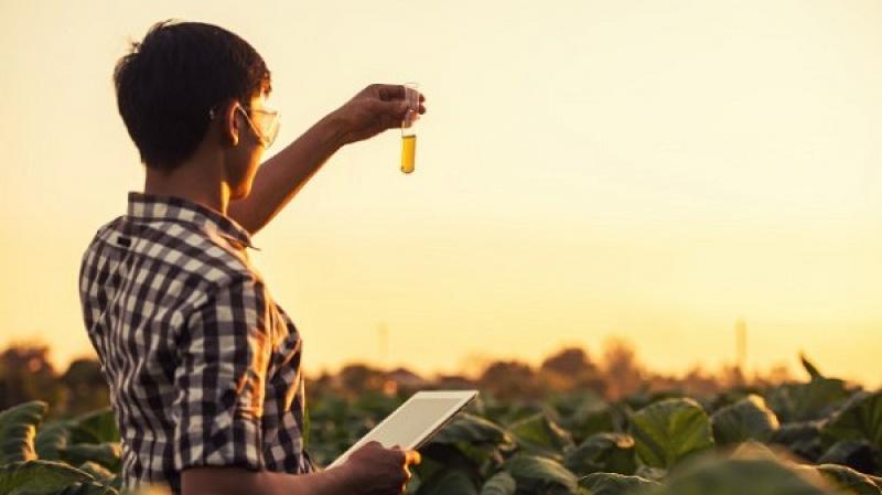 Esta semana se publicará el reglamento del Secigra Agrario