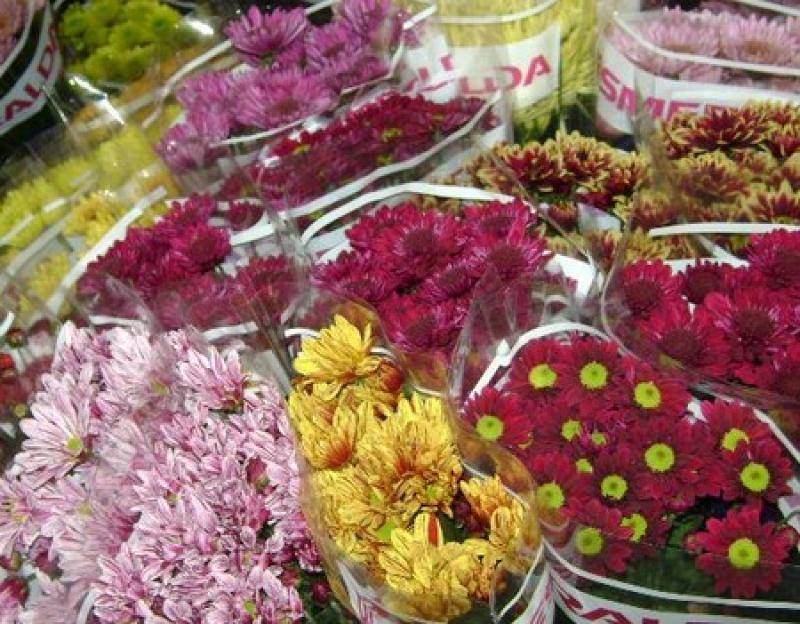 ESTABLECEN REQUISITOS FITOSANITARIOS PARA COMERCIO  DE FLORES ECUATORIANAS