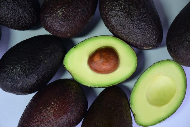 Estados Unidos: Aguacates embolsados impulsaron las ventas a su nivel más alto en cuatro años