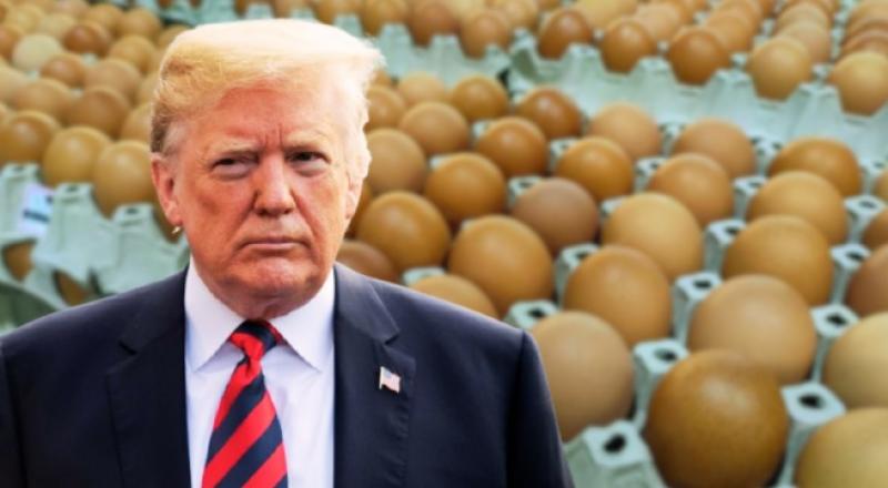 Estados Unidos importará huevos de Turquía y Corea del Sur debido a la escasez por gripe aviar