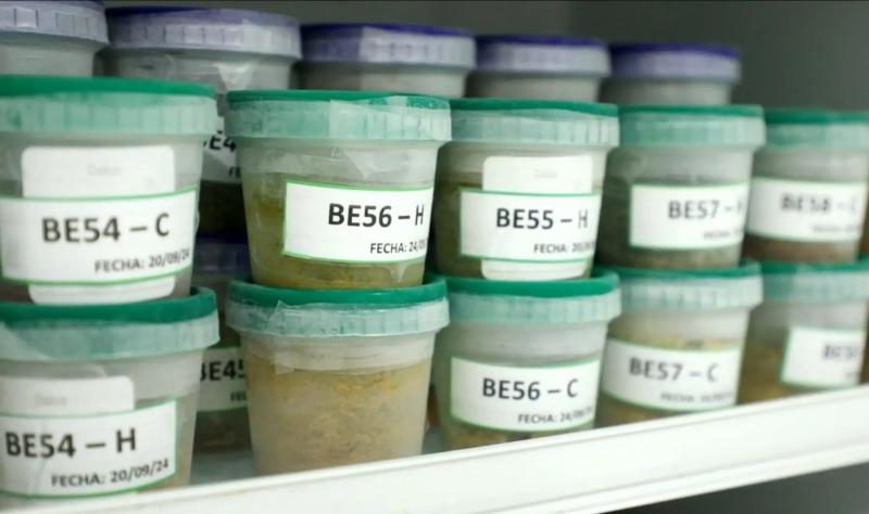 Estudio del IIAP descubre potencial antioxidante y medicinal en plantas amazónicas