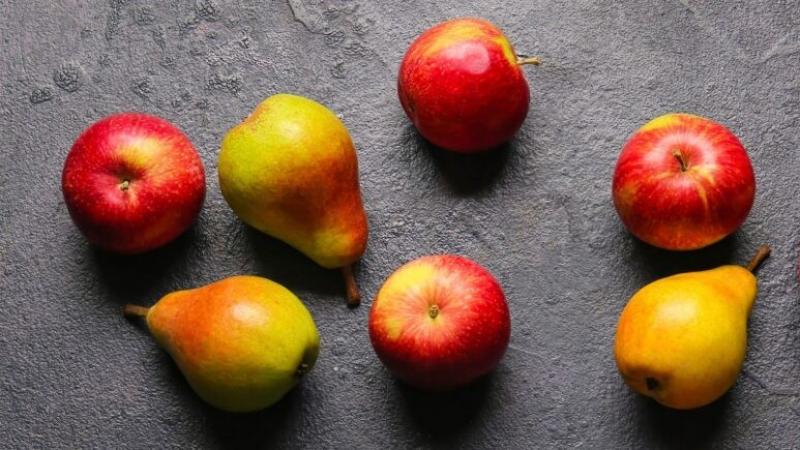 Existencias de manzanas en la Unión Europea bajan -6.4% en volumen hasta alcanzar las 1.196.024 toneladas