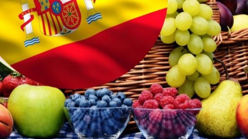 Exportación española de frutas y hortalizas a Estados Unidos retrocede 4% en volumen y 13% en valor entre enero y octubre de 2024