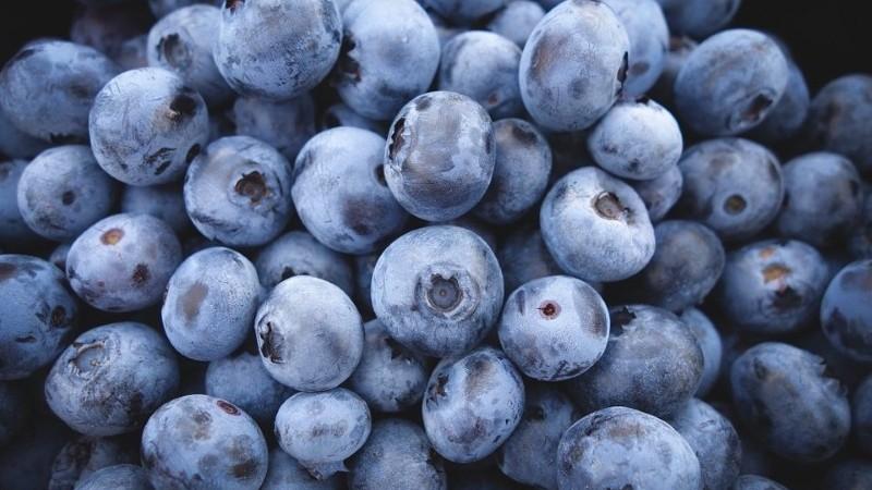 Exportaciones de arándanos se acercarían a los US$ 3.000 millones al cierre de 2026