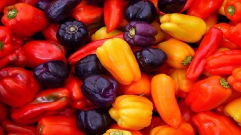 Exportaciones de capsicum de Perú sumaron 102.126.040 kilos por US$ 280.959.141 entre enero y noviembre de 2024