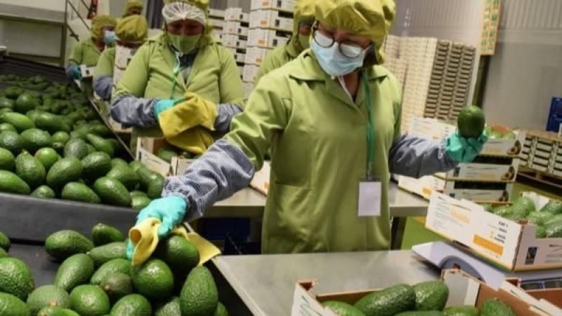 Exportaciones de La Libertad en 2024 alcanzaron los US$ 5.302 millones, mostrando un alza de +13.5%