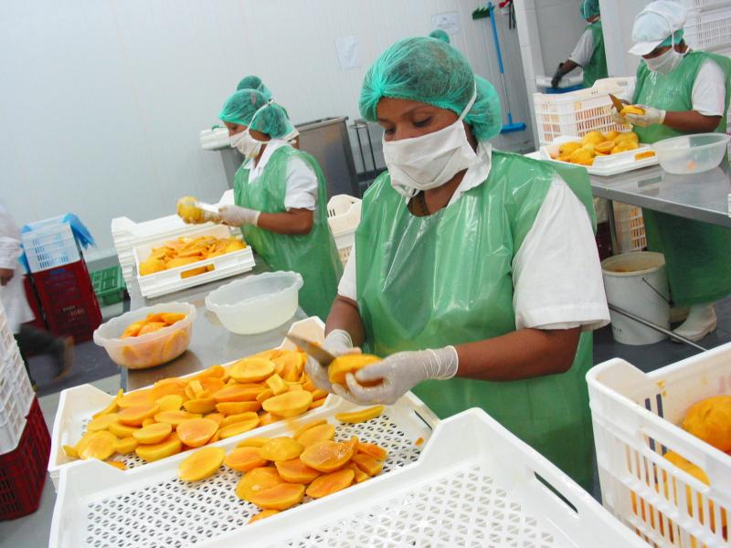 Exportaciones de Piura sumaron US$ 765 millones en primer trimestre del año