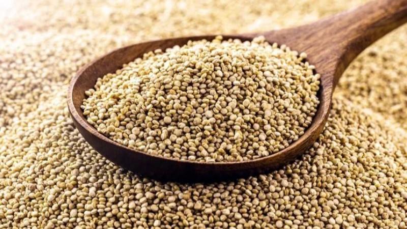 Exportaciones de quinua cayeron -11% en volumen en agosto de 2025