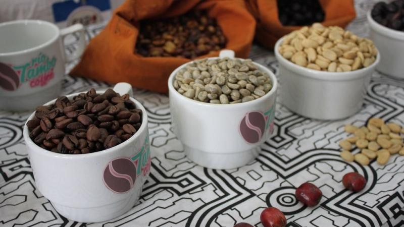 Exportaciones de San Martín sumaron US$ 294.562.000 en 2024, mostrando un aumento de 37%