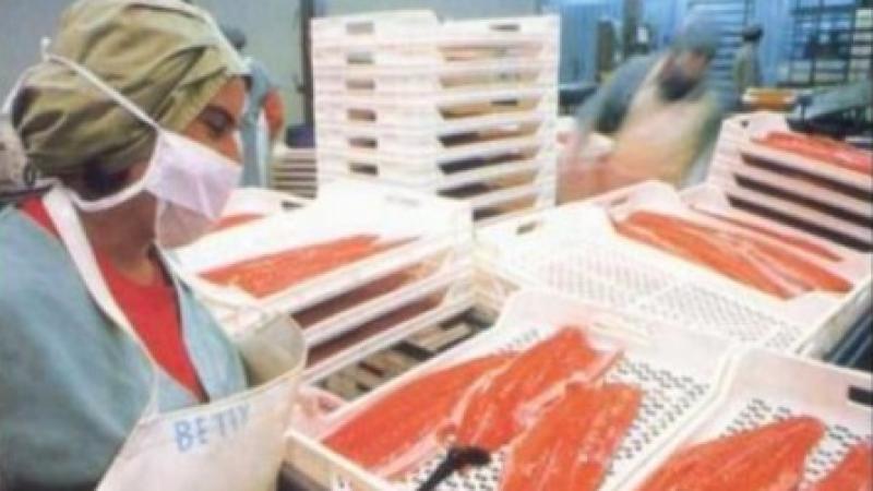 Exportaciones de trucha de Perú sumaron US$ 16.788.000 entre enero y mayo de 2025, registrando un aumento de 6.2%