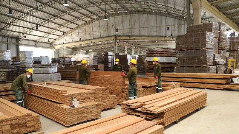 Exportaciones forestales de Perú sumaron US$ 85 millones en 2024, reflejando una caída de -15.8%