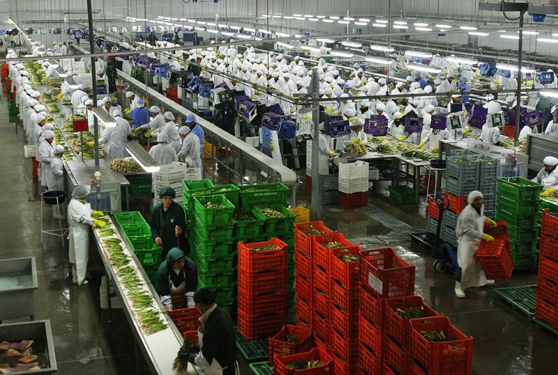 Exportaciones generaron 3.264.317 empleos en  2018