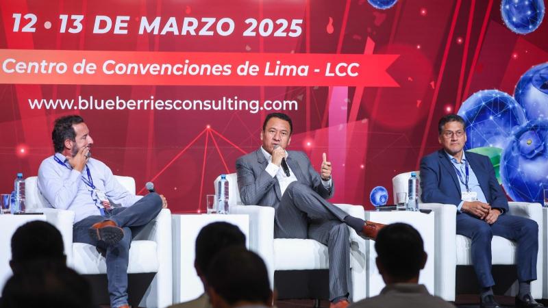 Exportaciones peruanas de arándanos superarían los US$ 3.000 millones en 2026