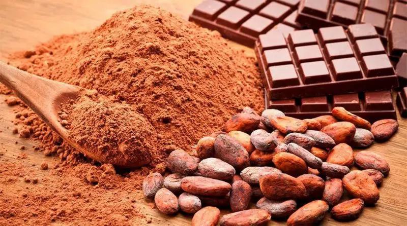 Exportaciones peruanas de cacao y derivados sumaron US$ 1.188 millones entre enero y noviembre de 2024, mostrando un alza de 203%