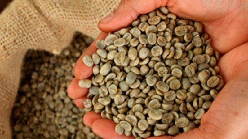Exportaciones peruanas de café en grano se duplicaron en valor en este primer bimestre