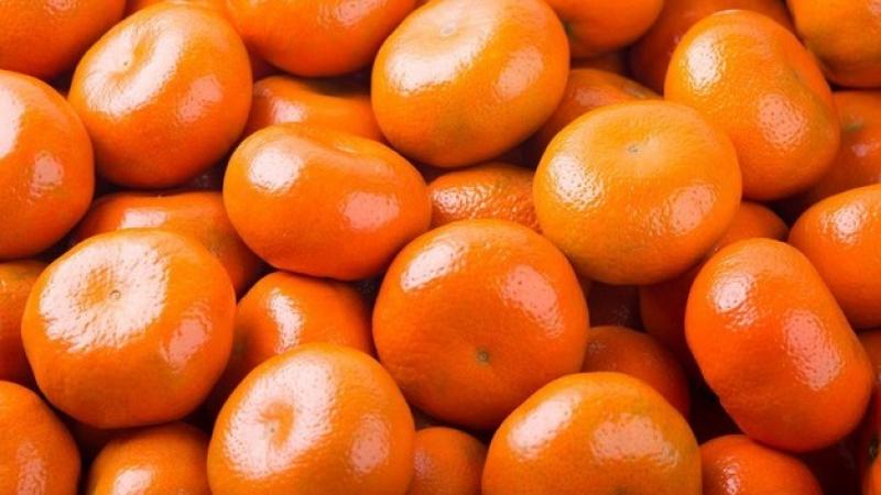 Exportaciones peruanas de cítricos crecieron un ritmo promedio anual de 5% en valor y 3% en volumen entre 2020 y 2024