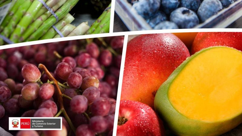 Exportaciones peruanas de frutas y hortalizas crecieron y sumaron US$ 904 millones en enero