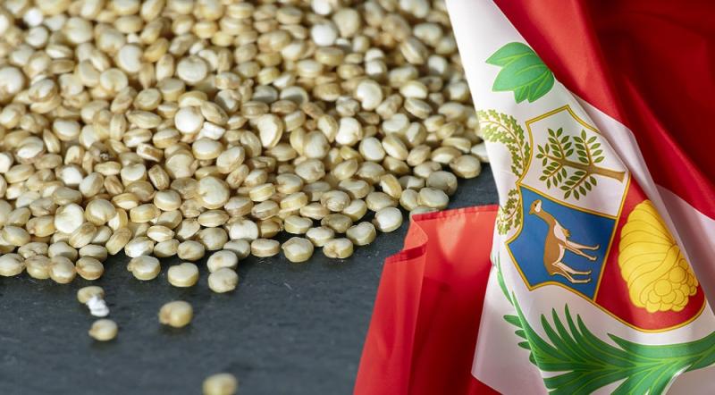 Exportaciones peruanas de granos andinos sumaron US$ 52.587.000 entre enero y abril de 2025