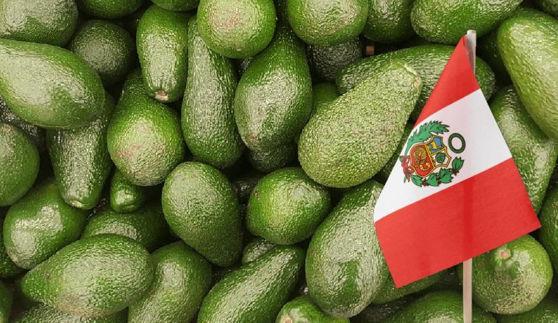 Exportaciones peruanas de palta fresca sumaron US$ 49.336.000 en el primer bimestre de 2025 mostrando una caída de -42.2%