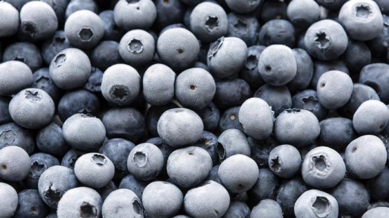 Exportaciones peruanas de paltas y arándanos congelados han mostrado crecimiento sostenido entre 2020 y 2024