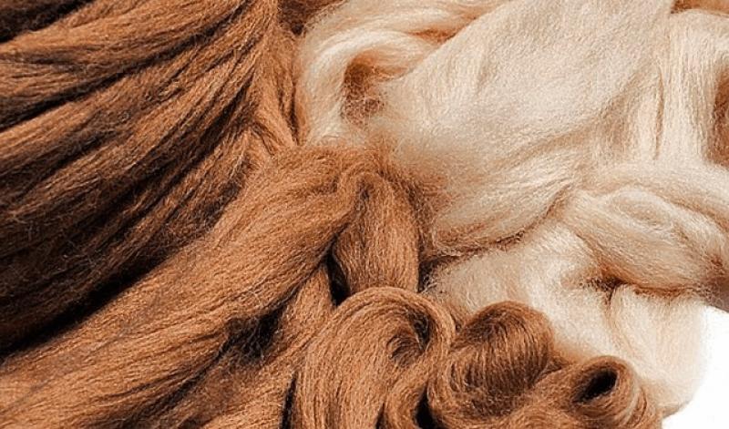 Exportaciones peruanas de pelo fino de alpaca crecieron 10.86% en valor y 6.27% en volumen en el primer bimestre de 2025