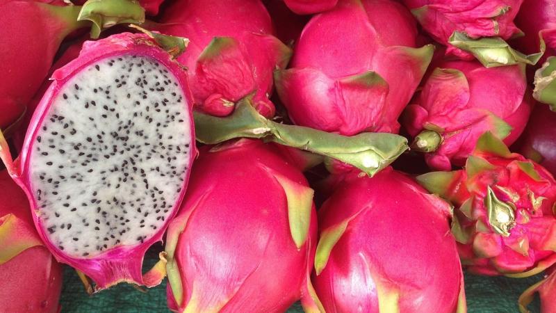 Exportaciones peruanas de pitahaya sumaron US$ 947.000  por 486 toneladas en primer trimestre, reflejando un alza de 153% en valor y 258% en volumen