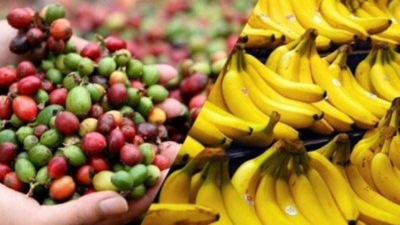 Exportaciones peruanas de productos agrícolas orgánicos crecieron 45.3% en valor entre enero y mayo