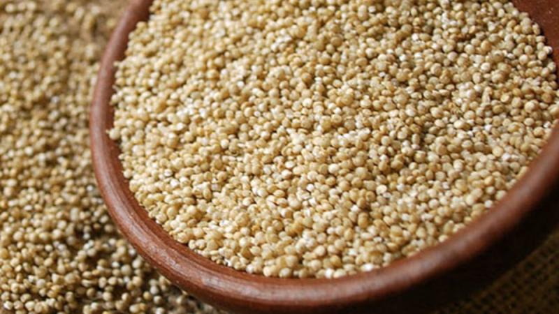 Exportaciones peruanas de quinua crecen 14% en valor y 8% en volumen entre enero y mayo