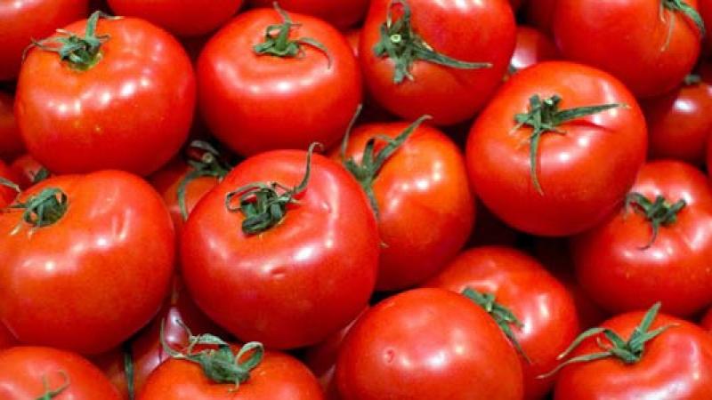 Exportaciones peruanas de tomate aumentaron 210% en volumen en julio de 2025