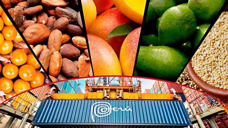 Exportaciones regionales sumaron US$ 51.409 millones entre enero y noviembre de 2024