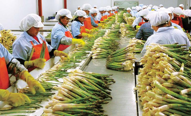 EXPORTADORES INCREMENTARON NEGOCIOS EN 41% 