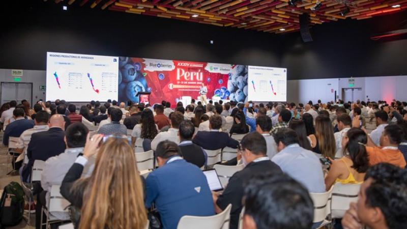 Falta poco para el XXXIX Seminario Internacional Blueberries Lima 2026