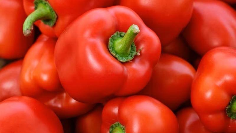 FAO: Perú concentró el 0.5% de la producción mundial de pimiento en 2024