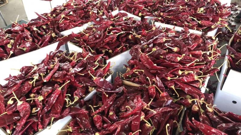 FDA registra seis casos de rechazos de despachos agrícolas peruanos en primer trimestre de 2023