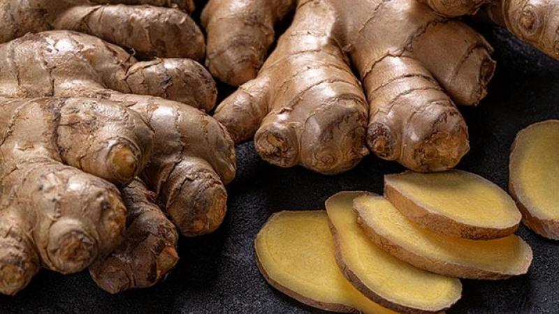 Firma alemana financia convenio entre Proginger e INIA para caracterización molecular de enfermedad del jengibre