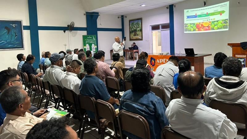 Fortalecen cadena de valor del mango en la región Piura