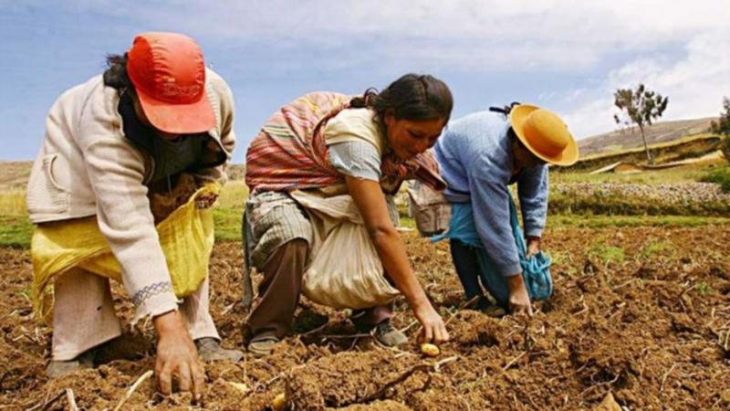 Fortalecer la agricultura familiar implica valorar a productores