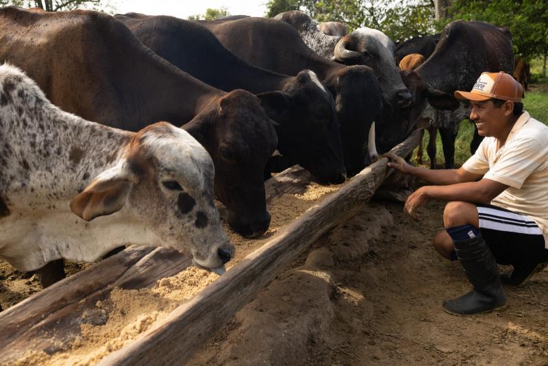 Ganadería regenerativa, una solución para los desafíos del cambio climático en el sector agropecuario