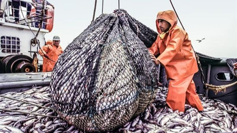 Gobierno aprobará este año la Política Nacional de Pesca 2025-2040