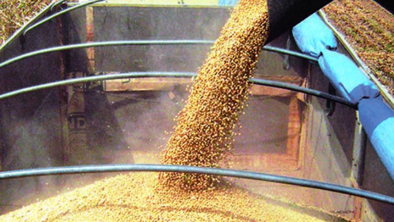 Gobierno boliviano decreta el ingreso de transgénicos a su territorio