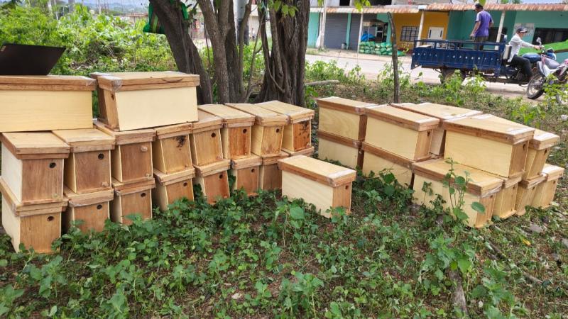 Gobierno cofinancia plan de negocio de miel de abejas para más 30 familias en Tumbes