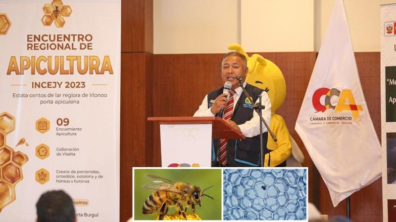 Gore Áncash impulsa fortalecimiento del sector apícola